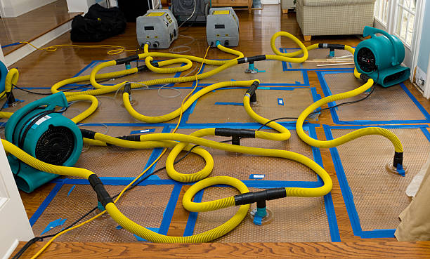 Professional Flood Damage Restoration technician working in Island Lake, IL